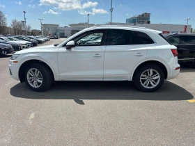 Audi Q5 KOMFORT/��������/������/���� �� ������  | Mobile.bg � ����� ������ 2