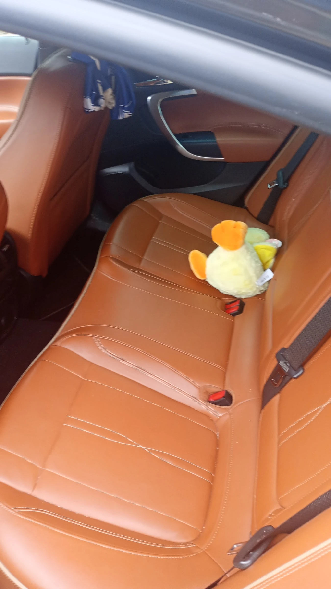 Opel Insignia  - изображение 8