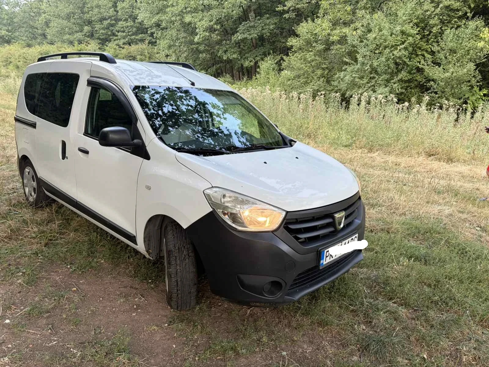 Dacia Dokker Van N1