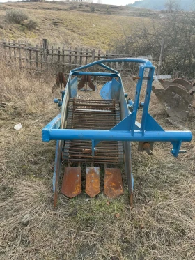 Друг вид Внос Картофовадачка, снимка 1