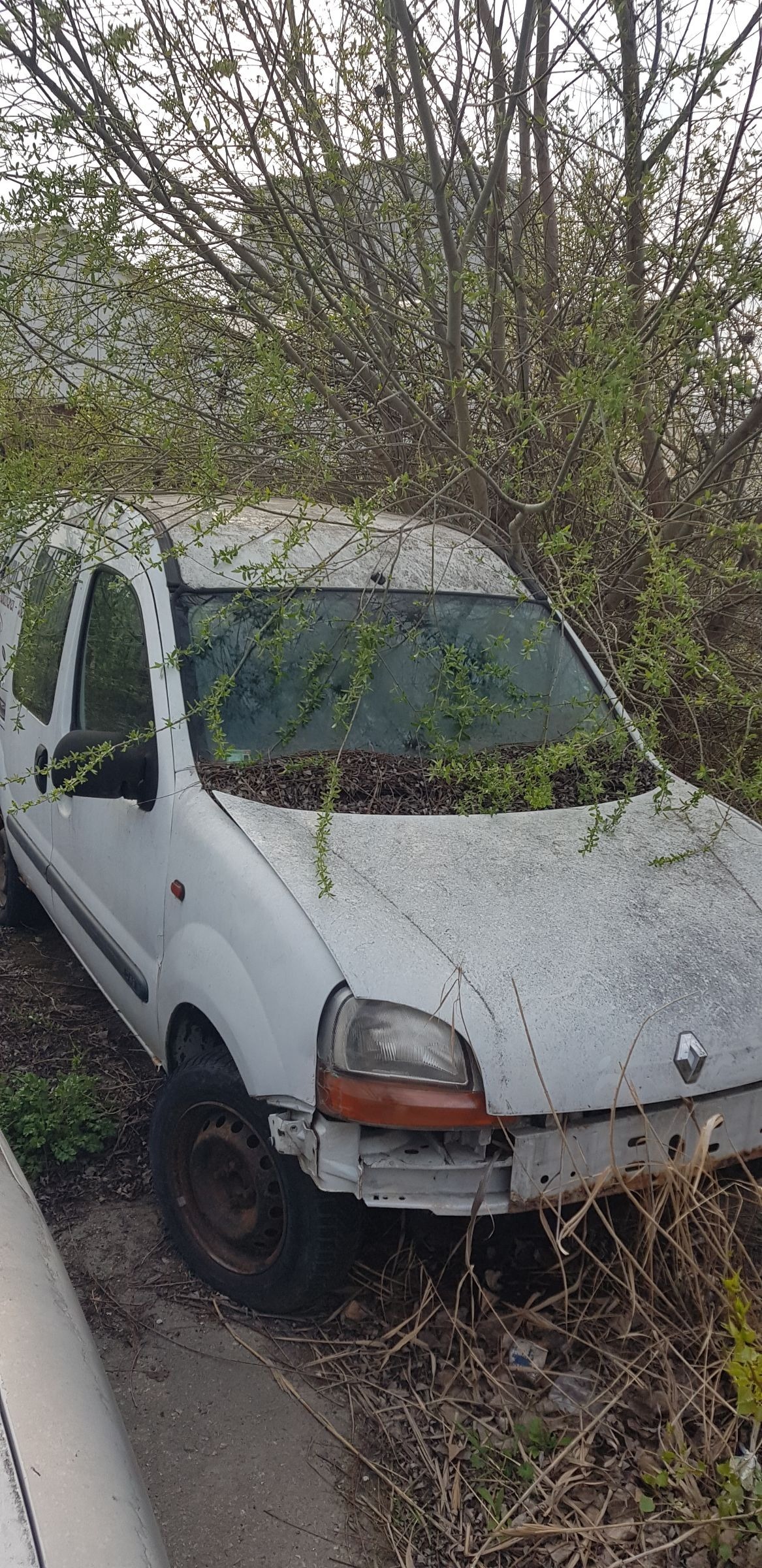 Renault Kangoo 1.9D без катализатор - изображение 1