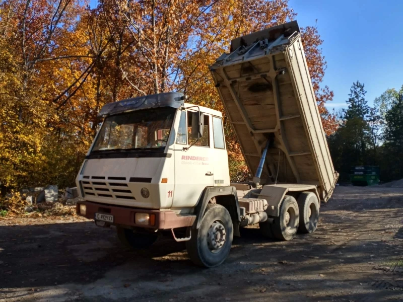 Steyr 32s31, снимка 6 - Камиони - 49177460