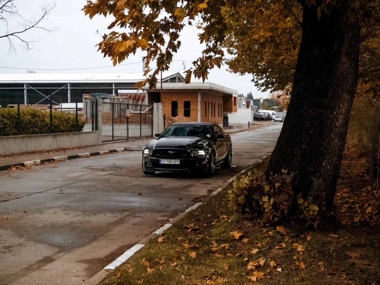 Ford Mustang V6, снимка 9 - Автомобили и джипове - 54397706