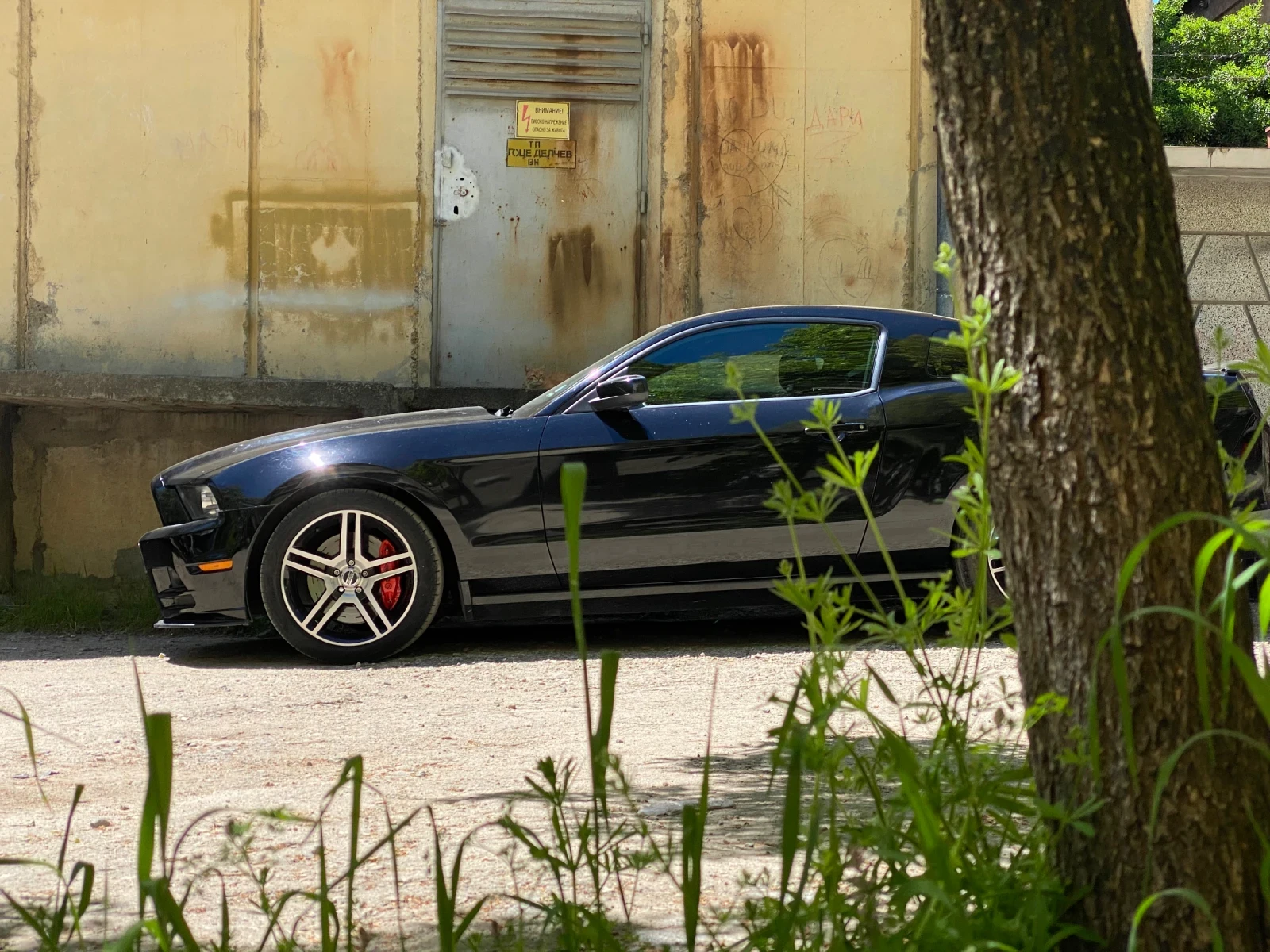 Ford Mustang V6, снимка 12 - Автомобили и джипове - 54397706