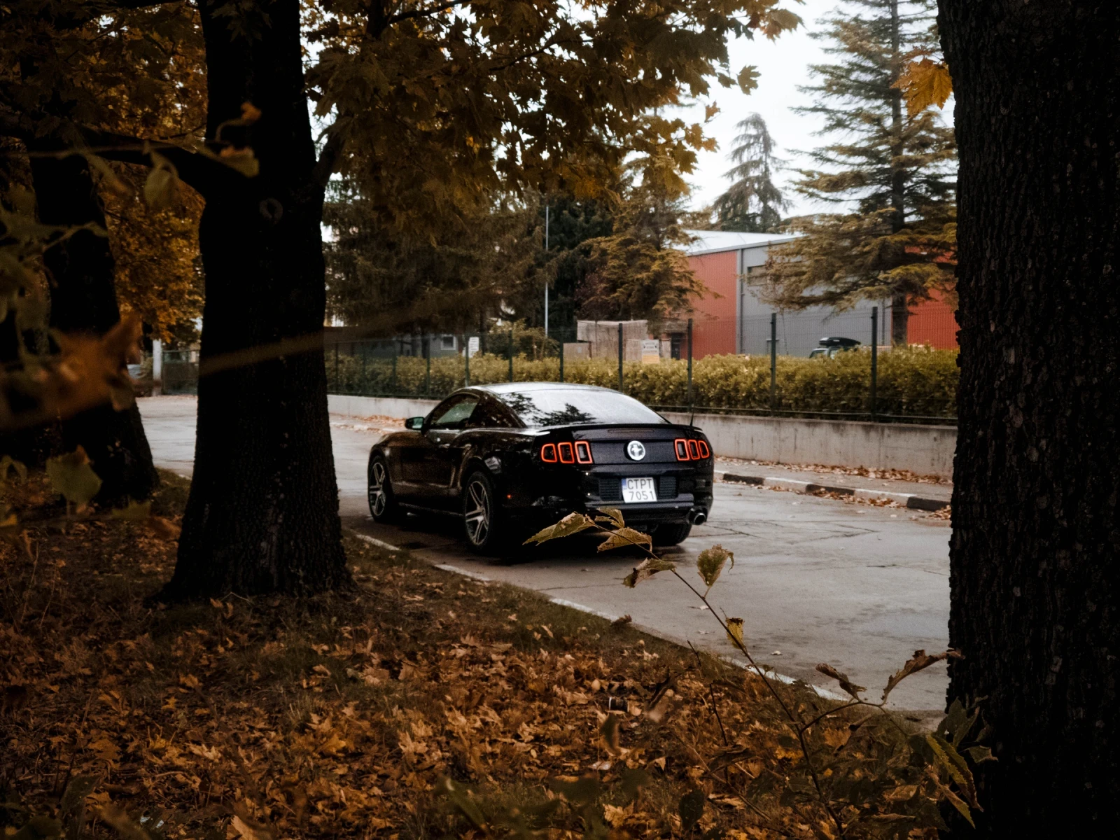 Ford Mustang V6, снимка 8 - Автомобили и джипове - 54397706