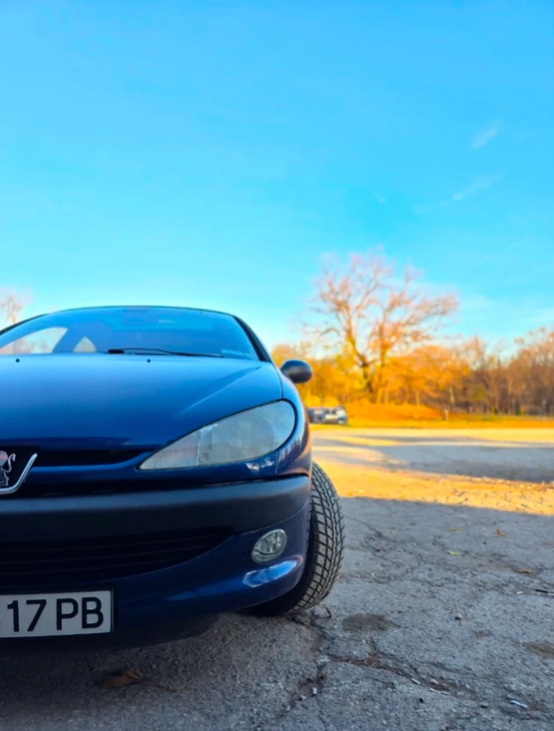 Peugeot 206 1.6 16v, снимка 4 - Автомобили и джипове - 49190559