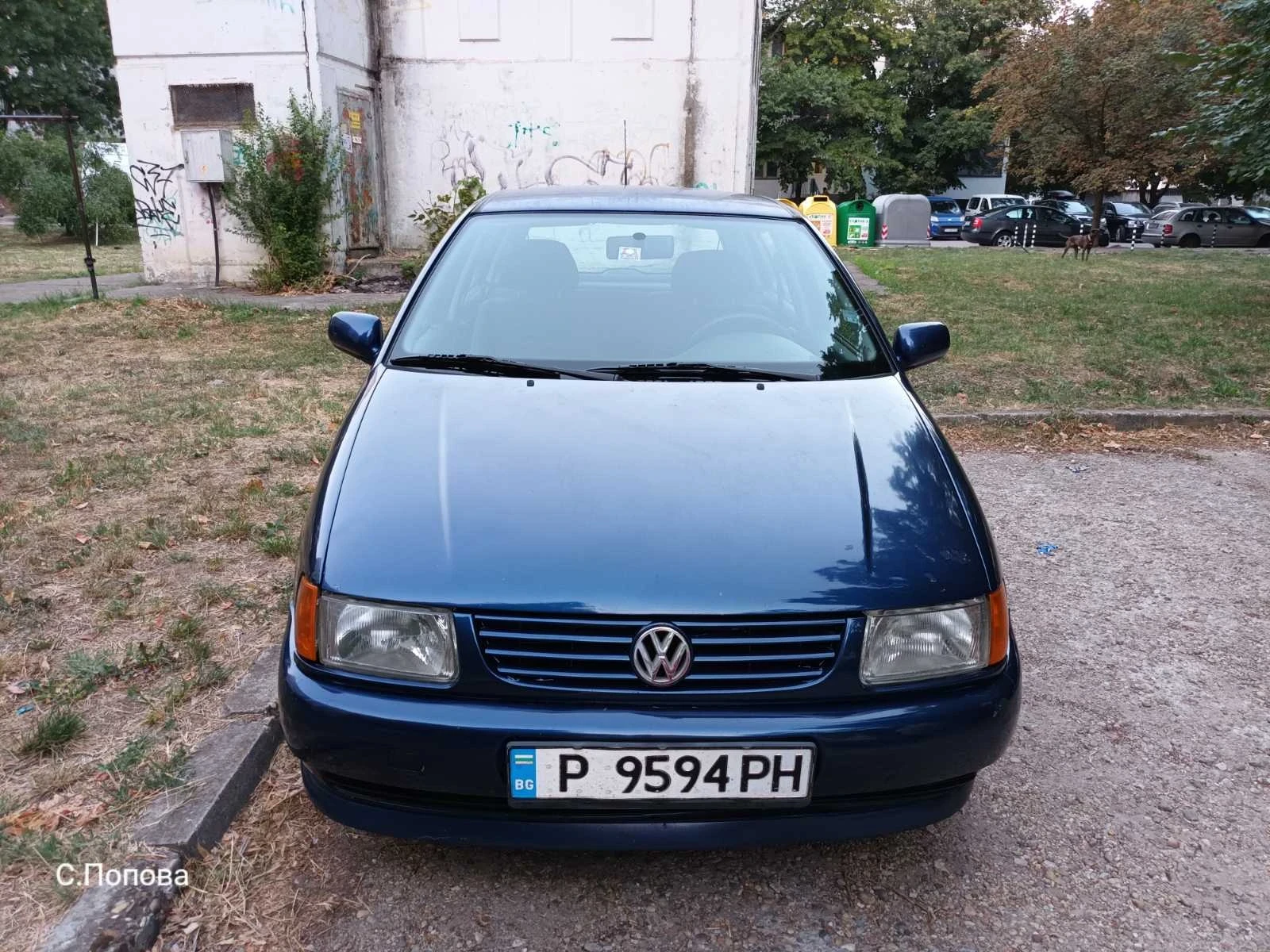 VW Polo