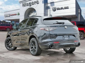 Alfa Romeo Stelvio Ti Sport* AWD* Pano* Подгрев* Кожа* Камера - 48800 лв. / 24951.04 € - 81369273 2