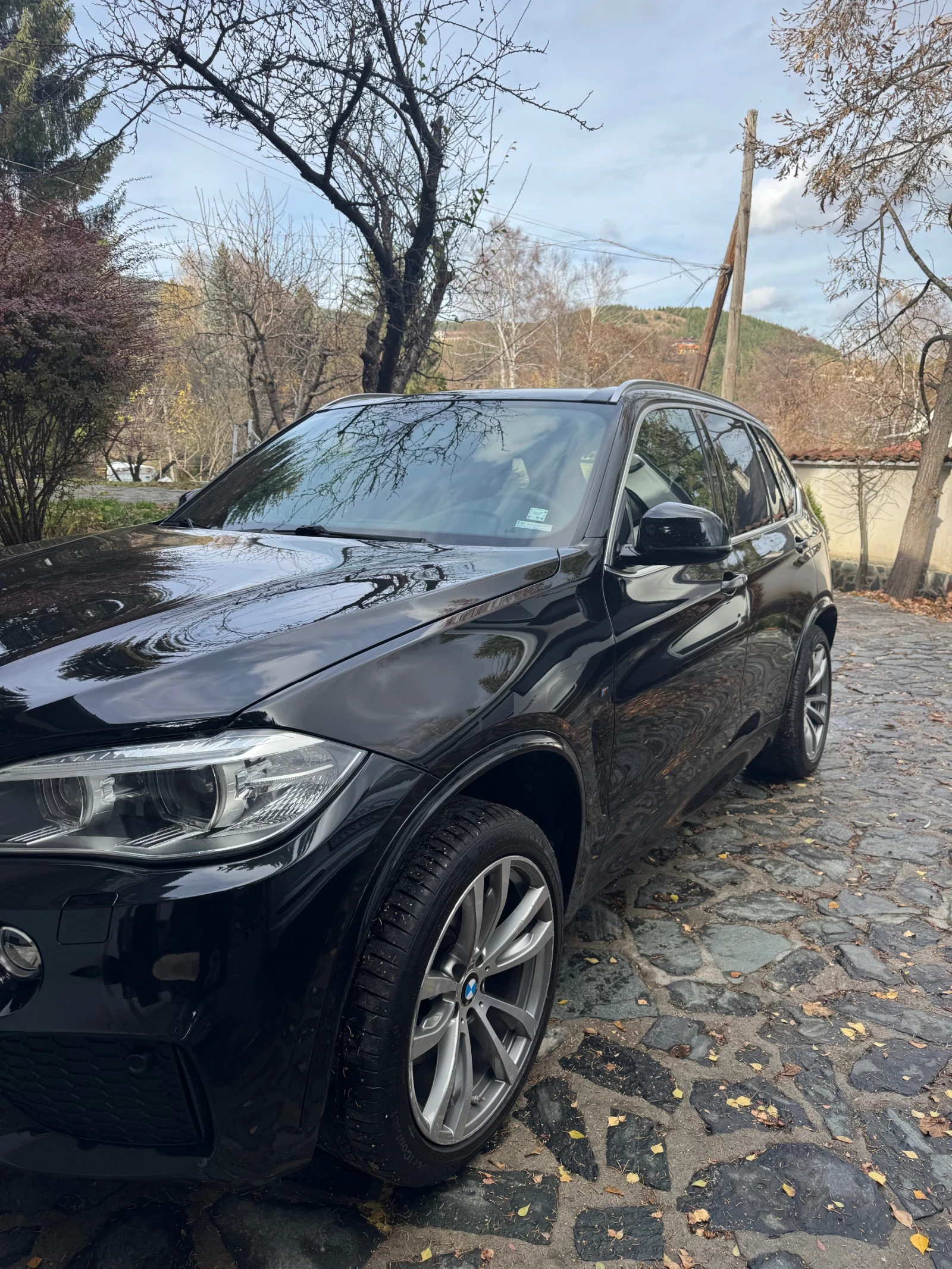 BMW X5 4.0 D - изображение 2