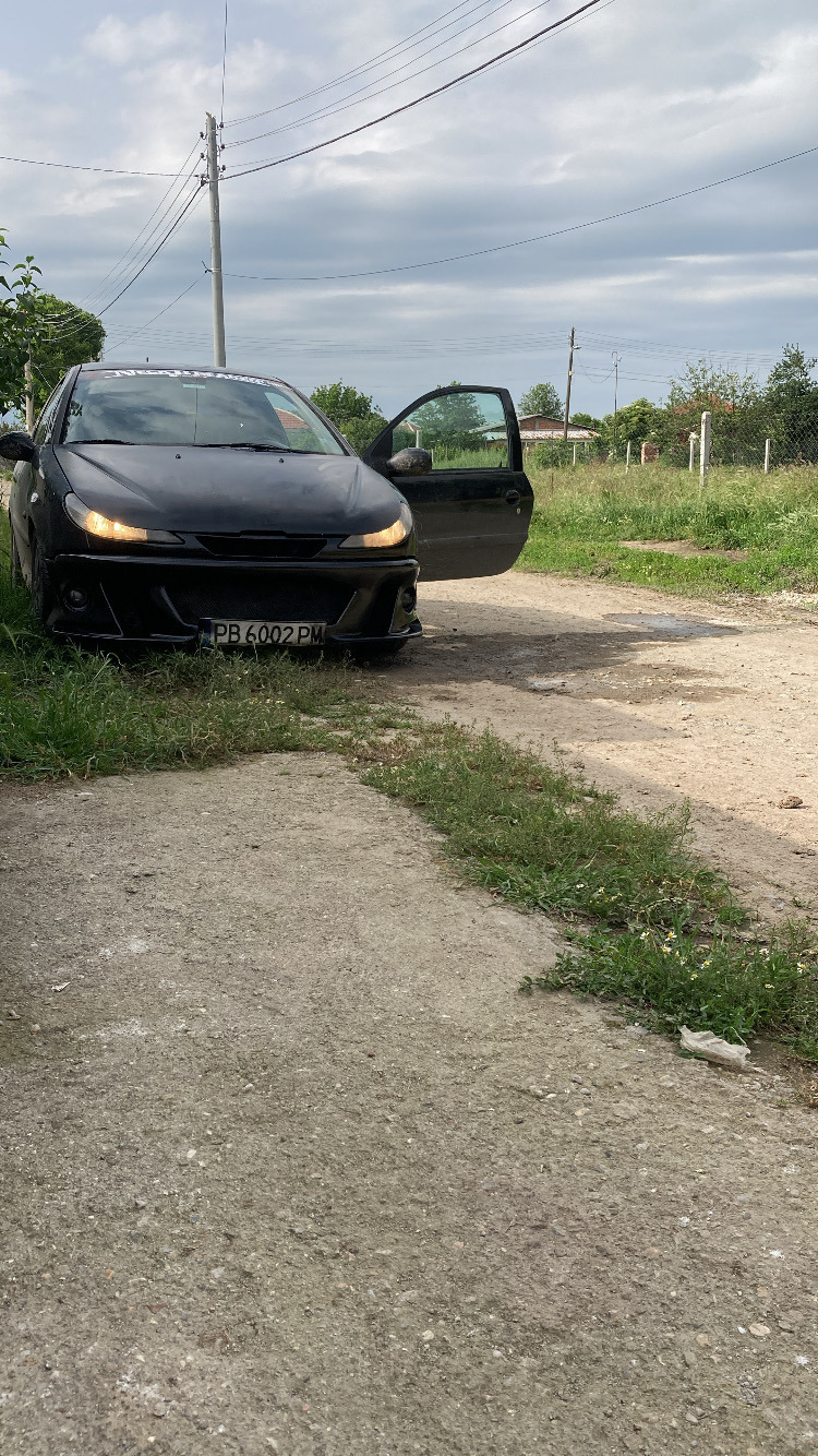 Peugeot 206, снимка 2 - Автомобили и джипове - 45889995