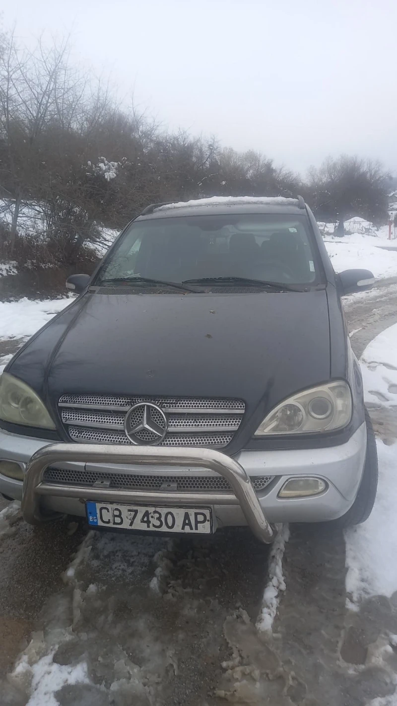 Mercedes-Benz ML 270, снимка 1 - Автомобили и джипове - 47977293