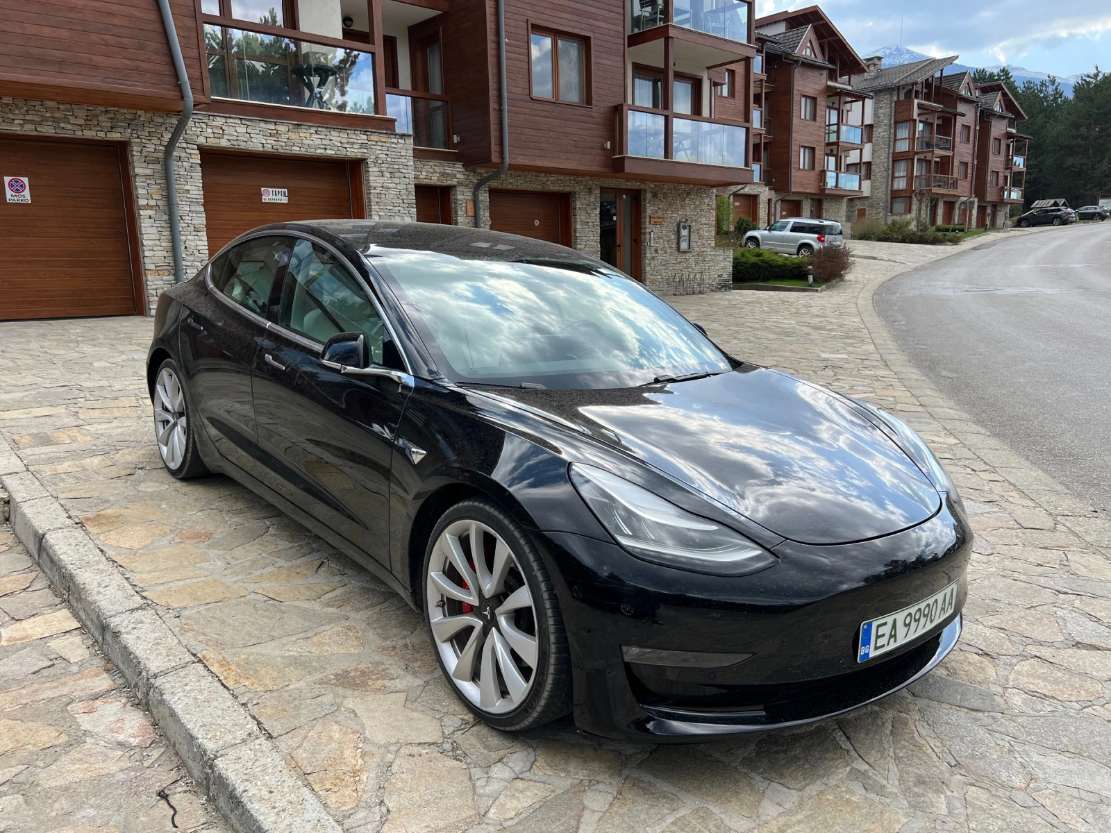 Tesla Model 3 Performance  - изображение 8