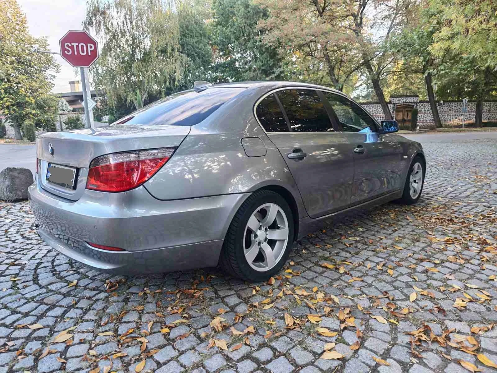 BMW 525 3.0 D 197, снимка 2 - Автомобили и джипове - 56545063