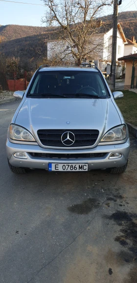 Mercedes-Benz ML 270, снимка 1