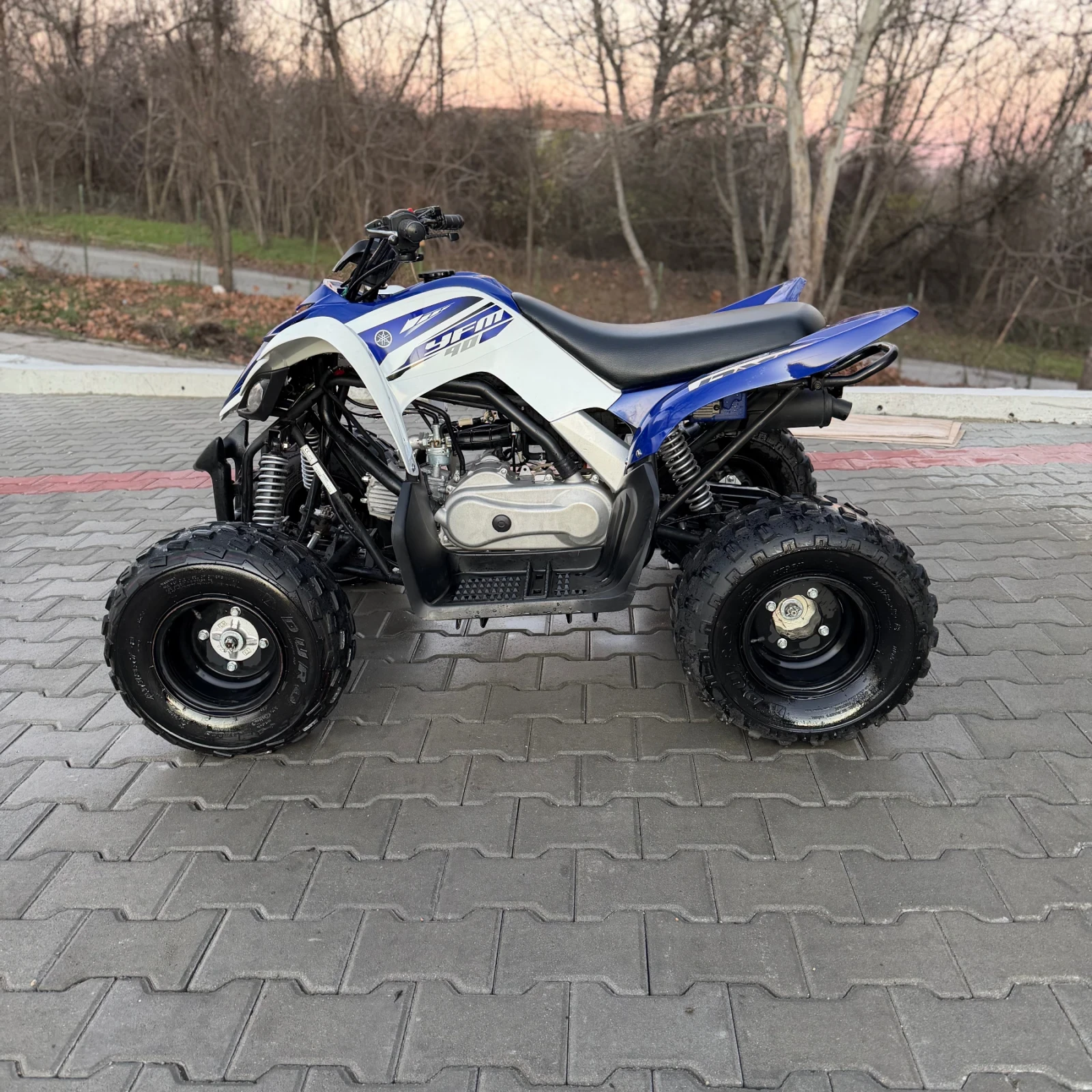 Yamaha Raptor YFM 90 - изображение 8