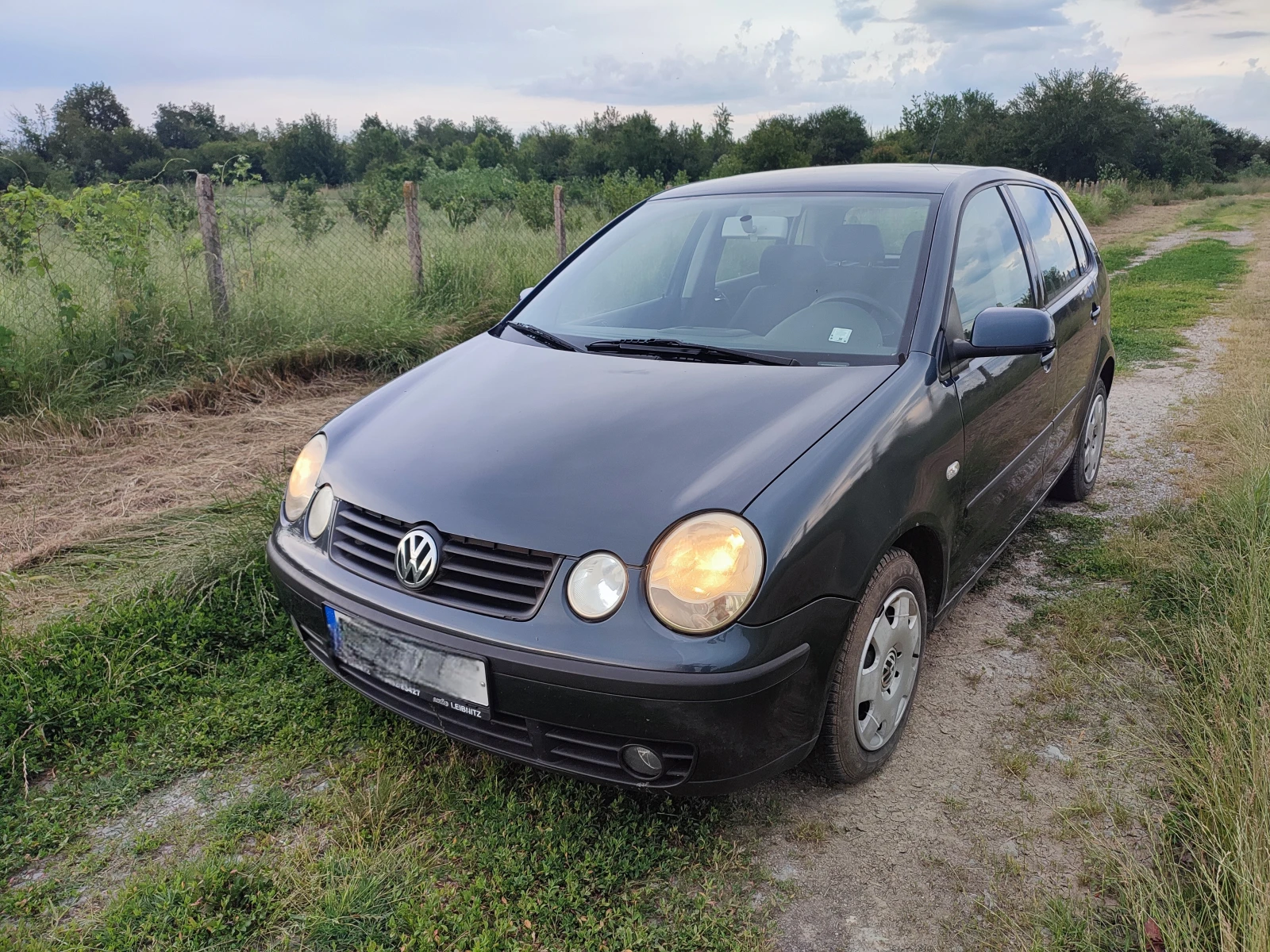 VW Polo