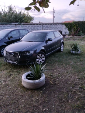     Audi A3  3 1, 9  105. 