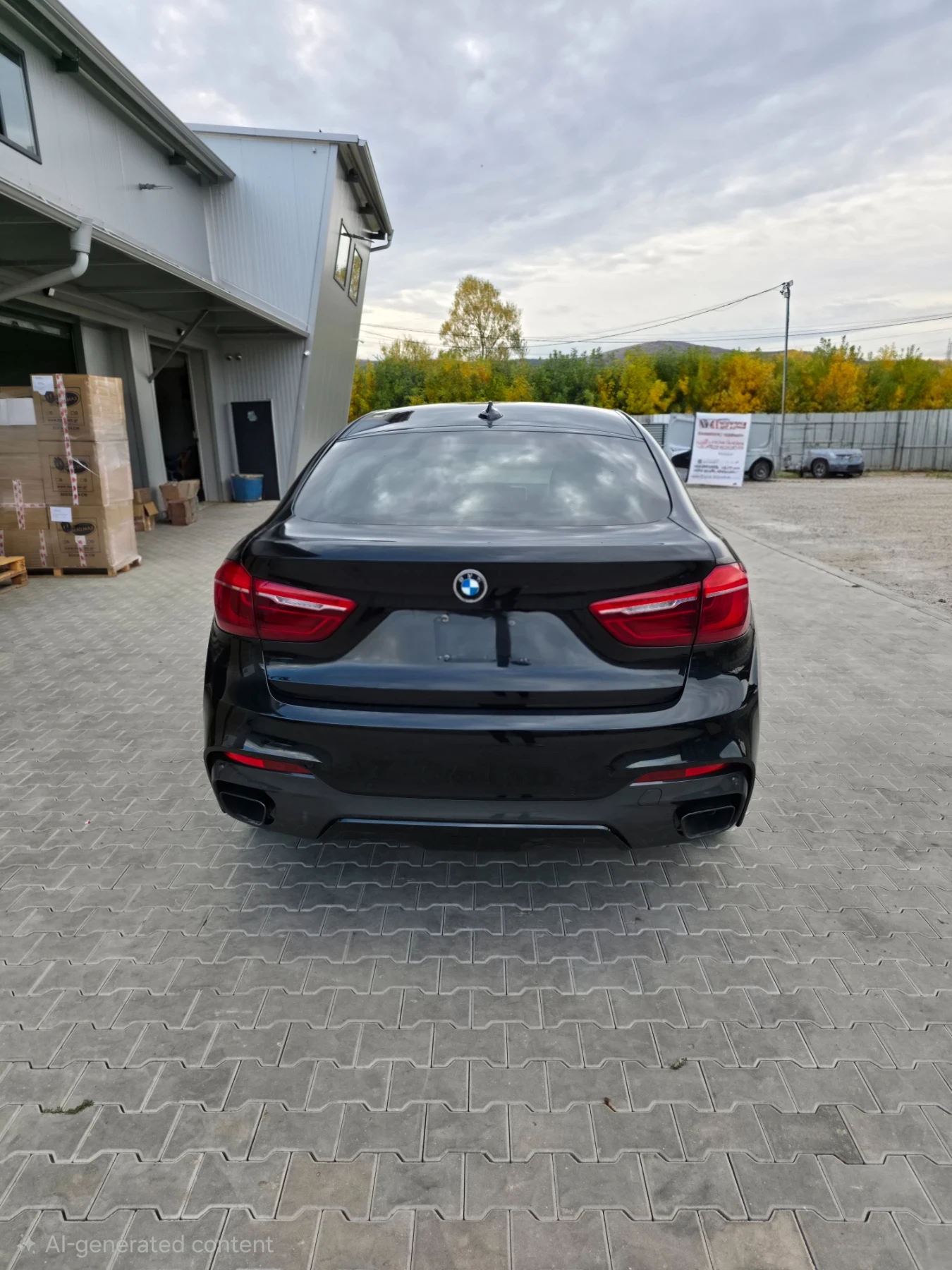 BMW X6 M50, снимка 3 - Автомобили и джипове - 56433202