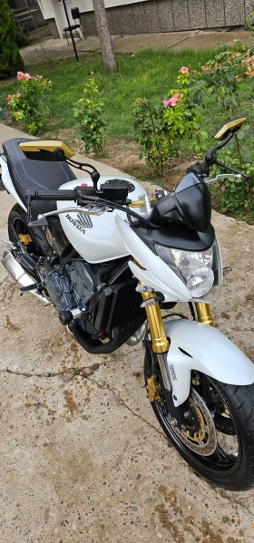     Honda Hornet ,   