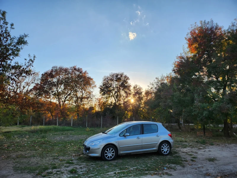 Peugeot 307 1, 6 HDi, снимка 3 - Автомобили и джипове - 52298671