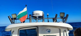 Моторна яхта Quicksilver Pilothouse 560, снимка 4 - Воден транспорт - 47835642