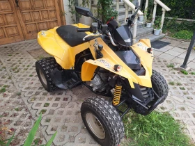 Can-Am DS 250, снимка 4