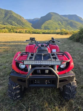  Yamaha Grizzly