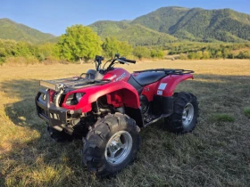 Yamaha Grizzly | Mobile.bg    5