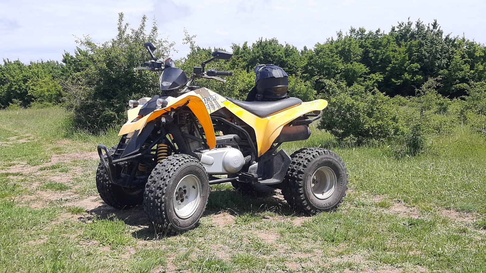 Can-Am DS 250, снимка 1