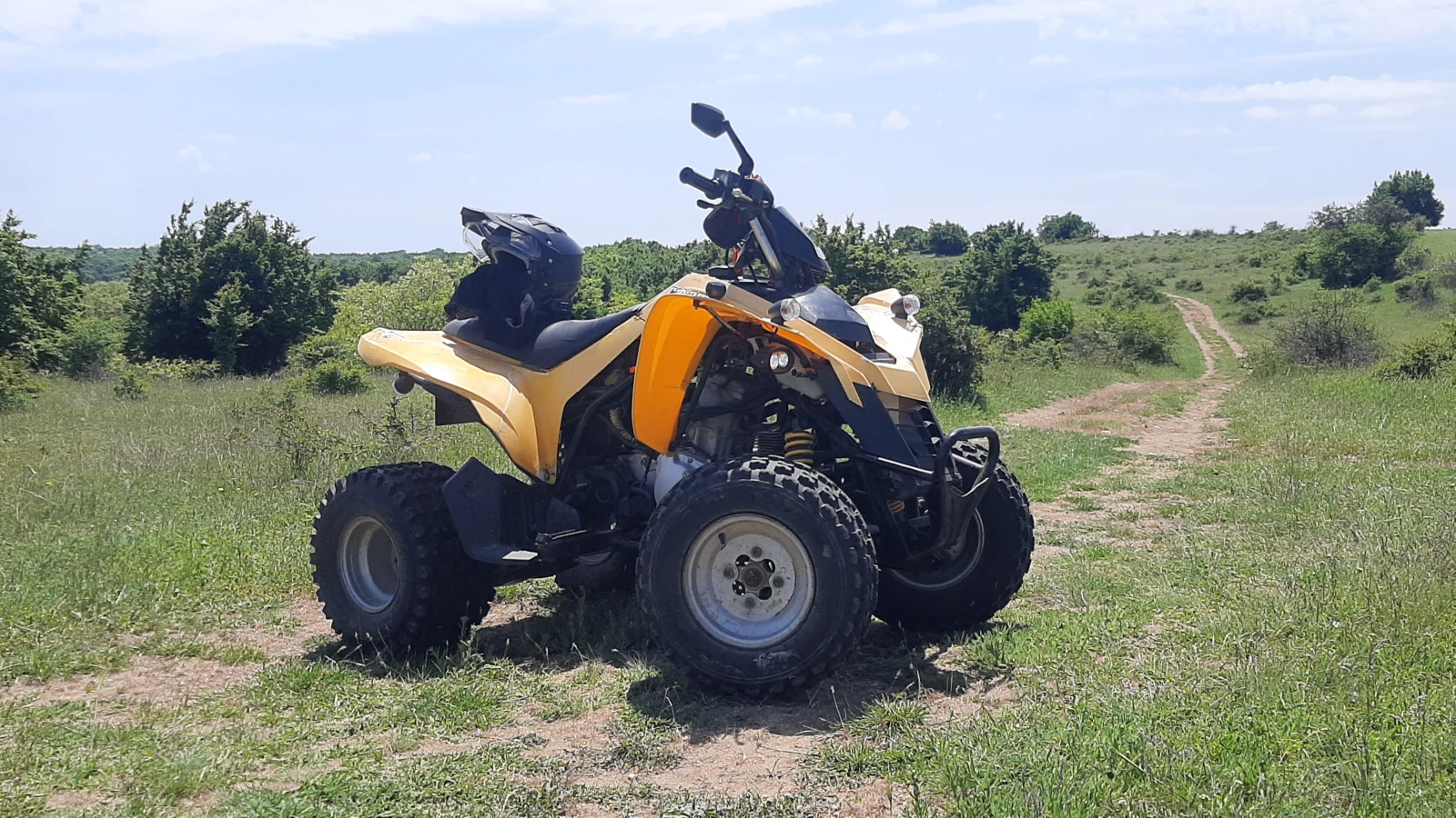 Can-Am DS 250 - изображение 2