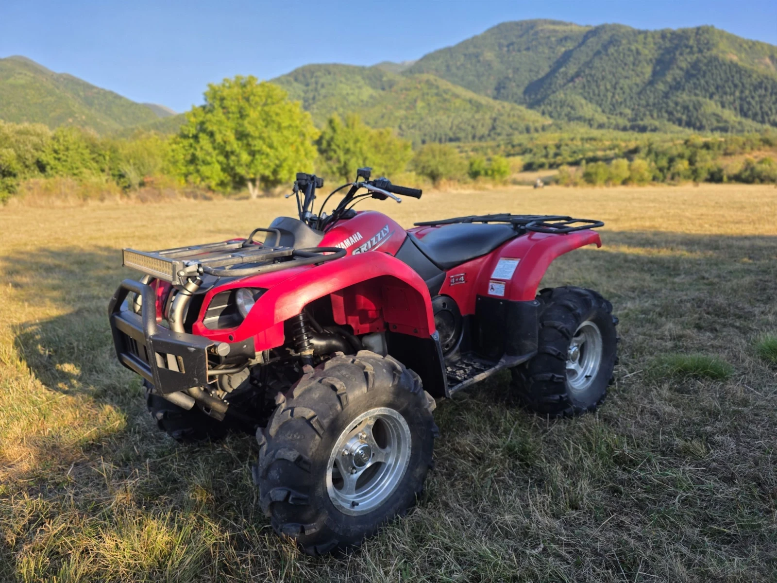 Yamaha Grizzly  - изображение 5