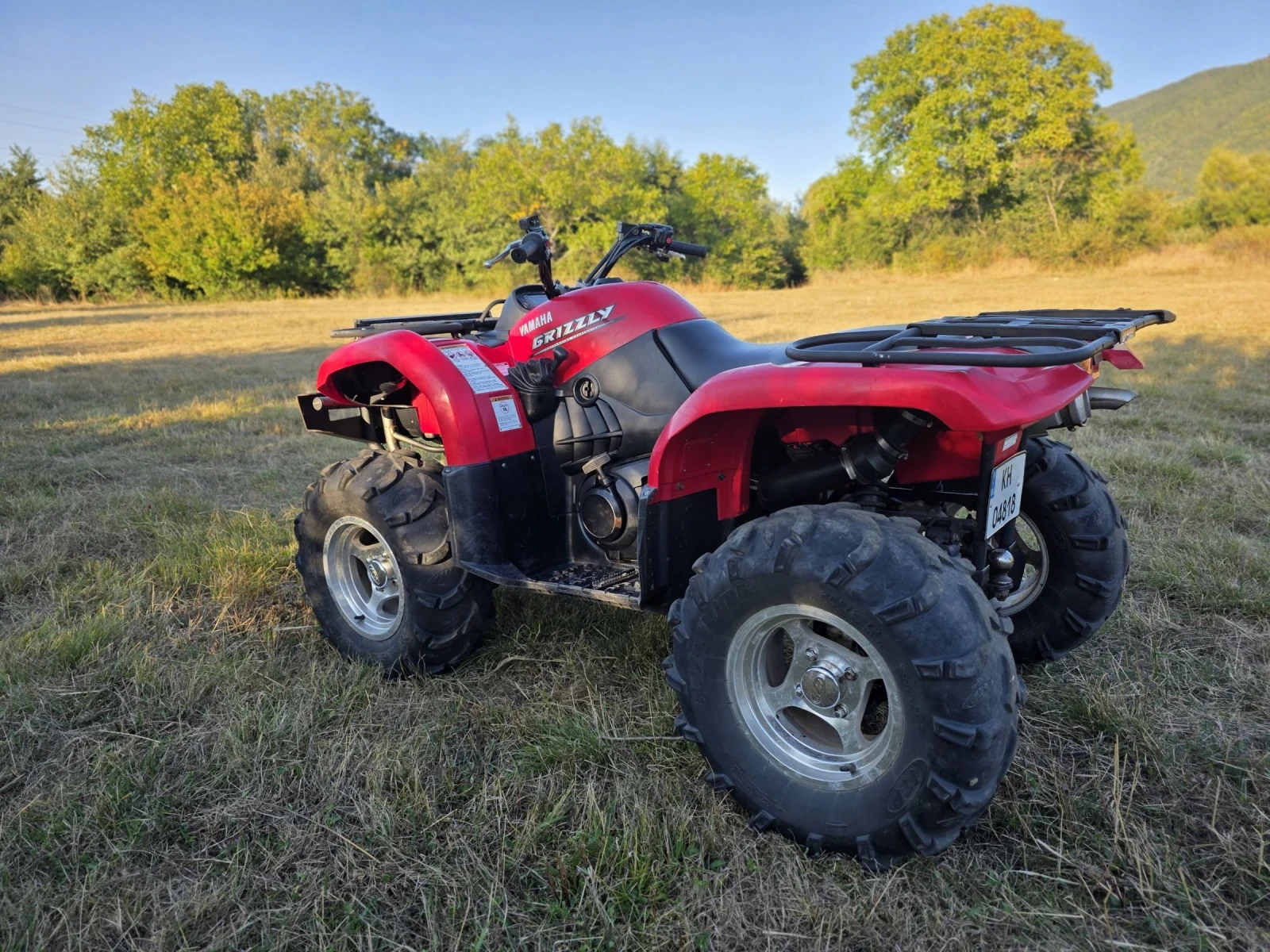 Yamaha Grizzly  - изображение 4