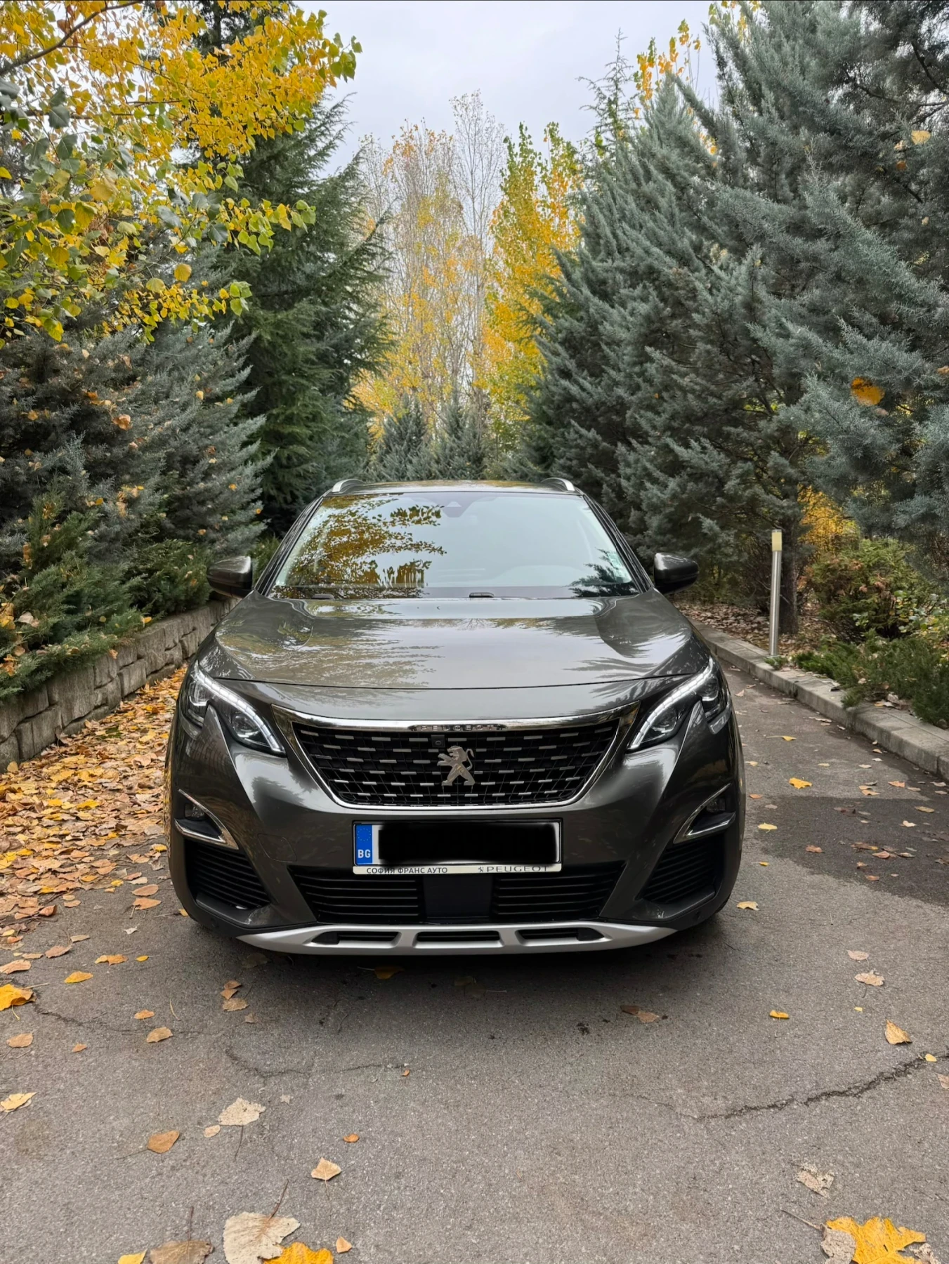 Peugeot 3008 | Mobile.bg   2