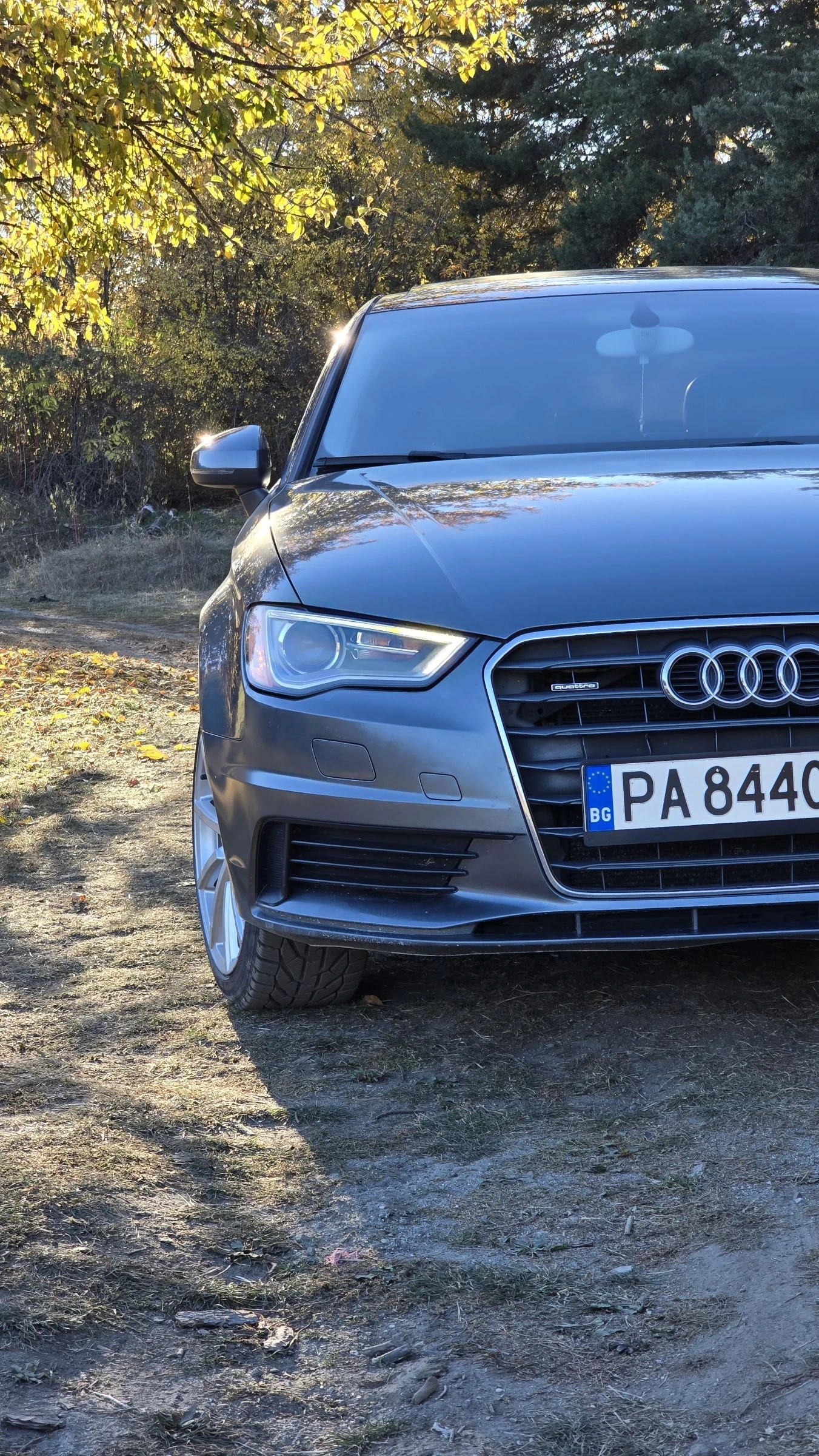 Audi A3 Premium plus 2.0 TFSI Quattro keyless  | Mobile.bg   15