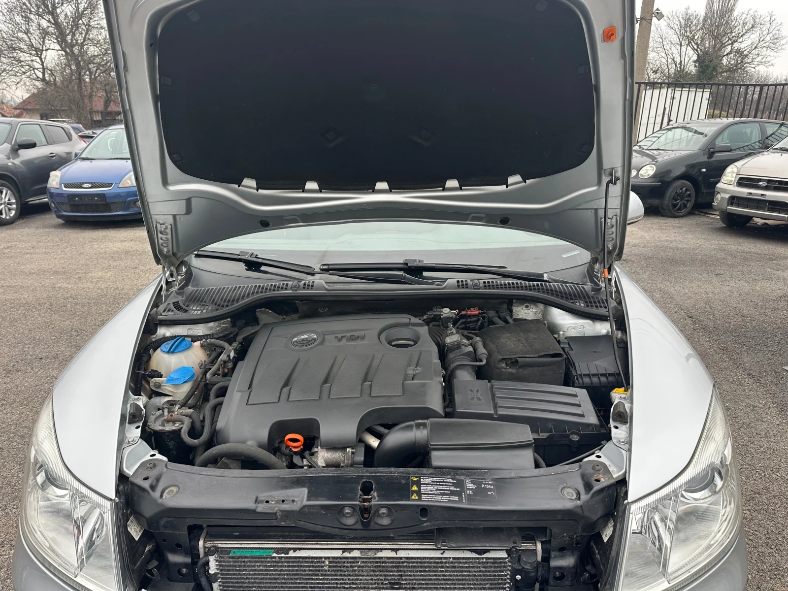 Skoda Octavia TDI-105k.c | Mobile.bg � ����������� 14