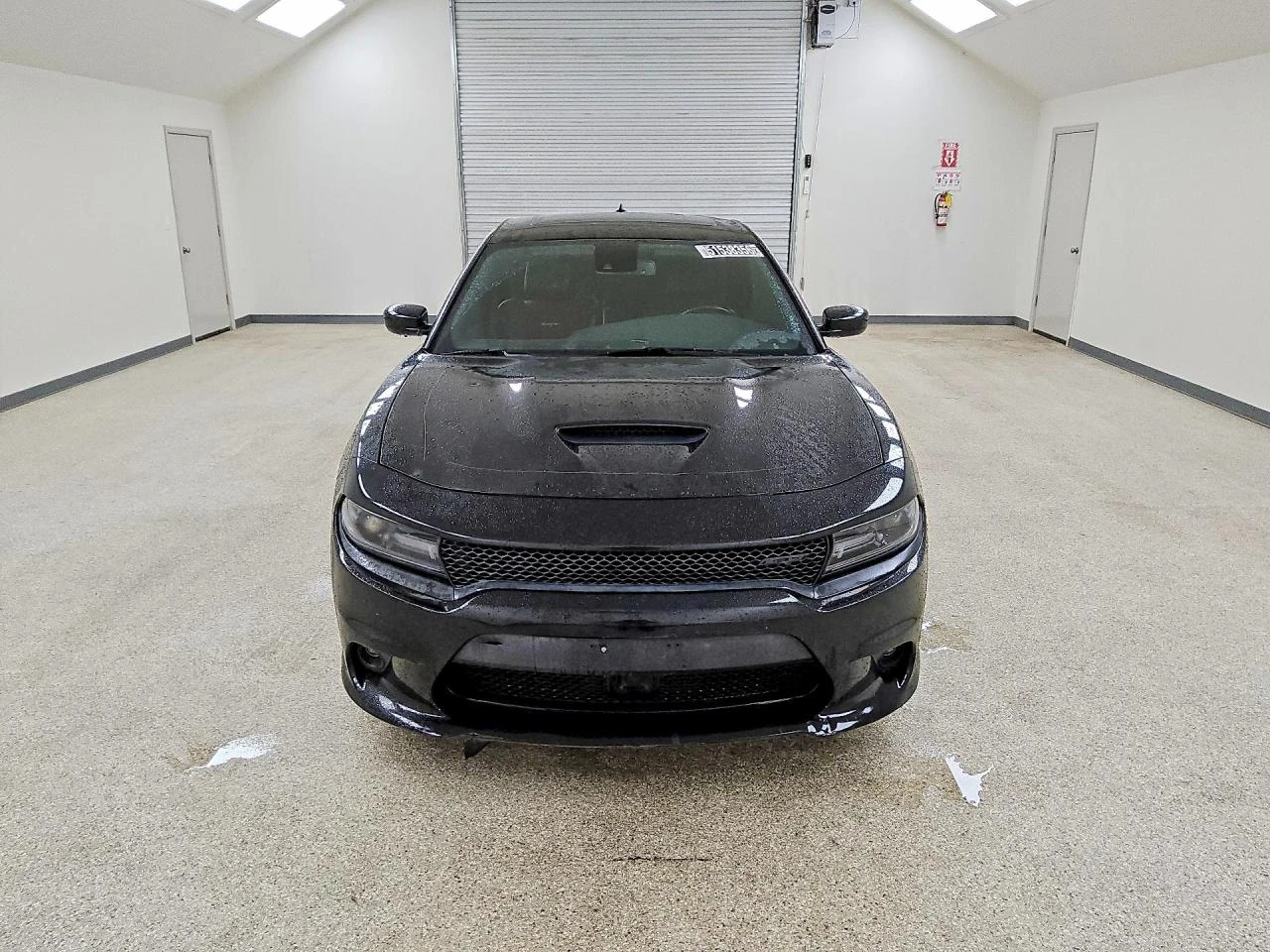 Dodge Charger SRT 392 | Mobile.bg � ����������� 1