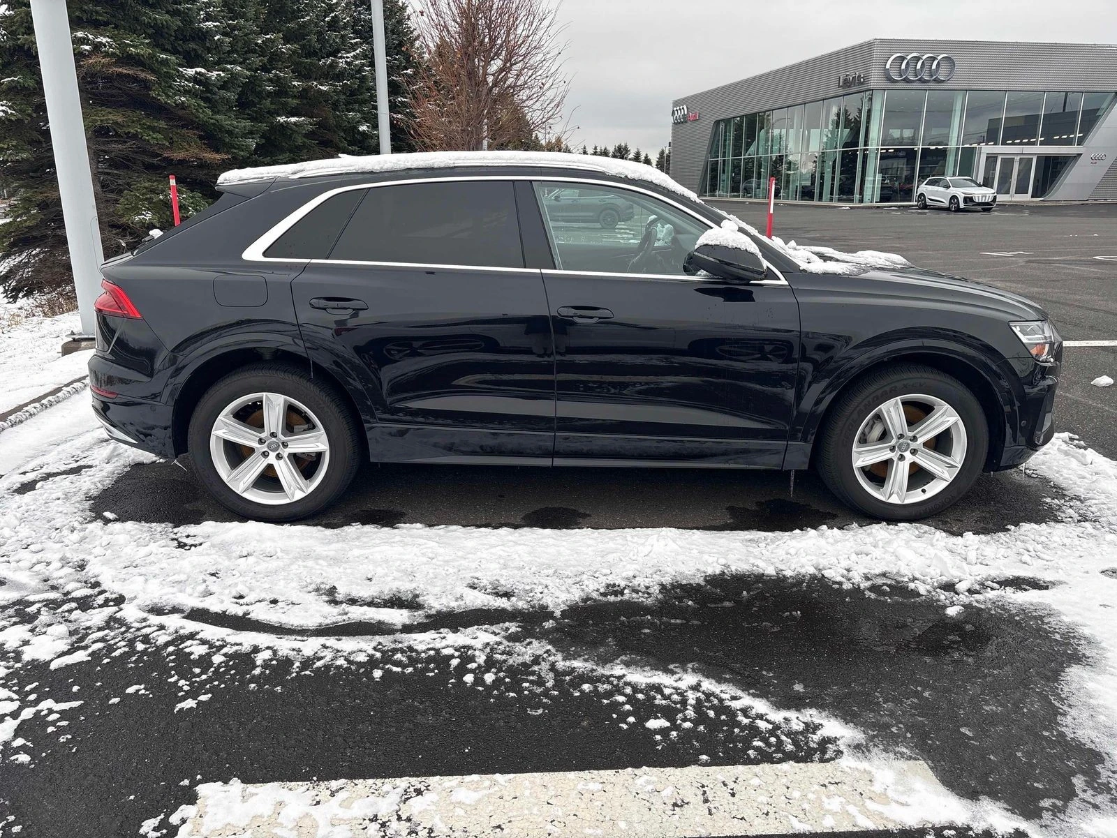 Audi Q8 Progressiv CARFAX АВТО КРЕДИТ  - изображение 5