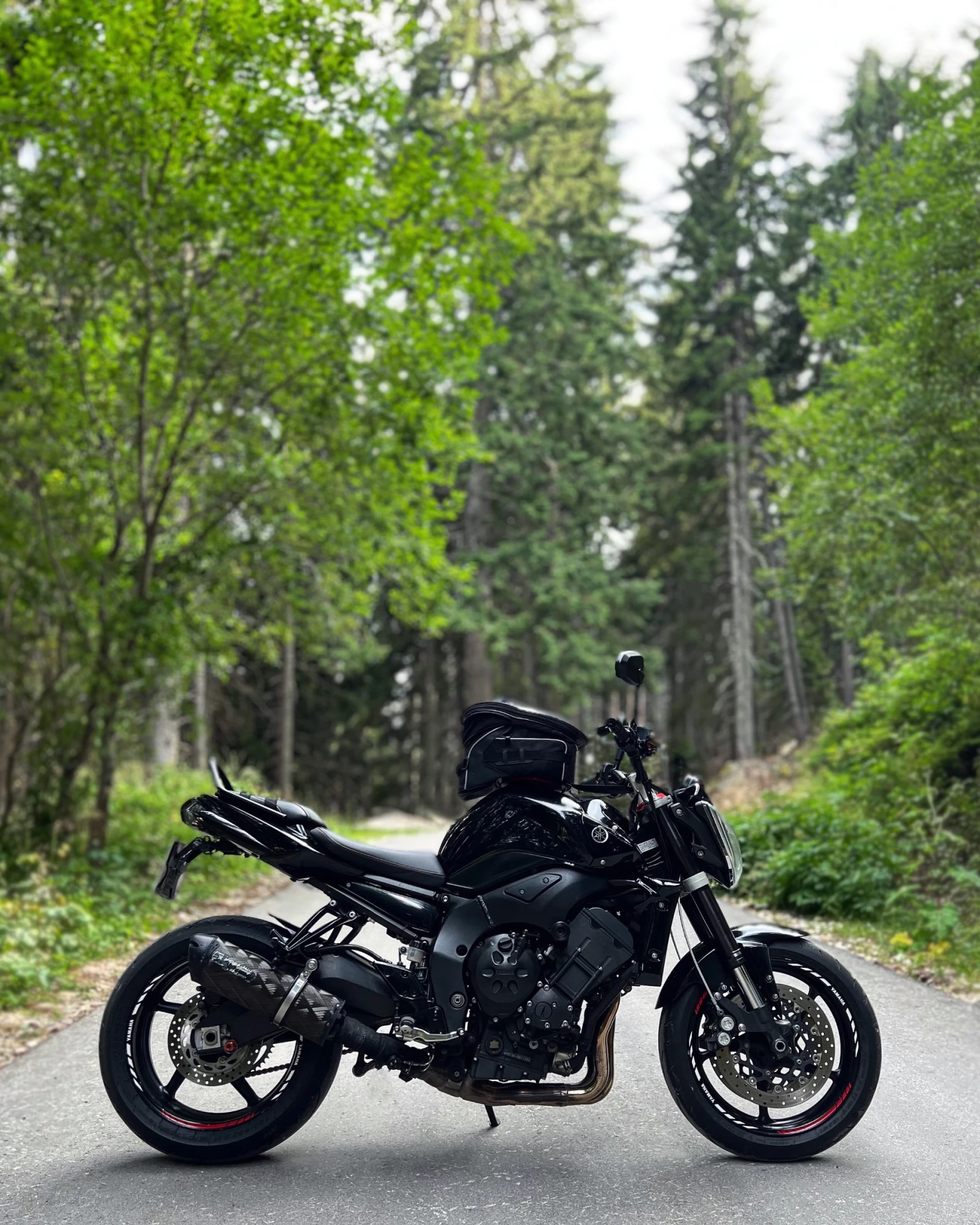 Yamaha FZ1, снимка 4 - Мотоциклети и мототехника - 53850599