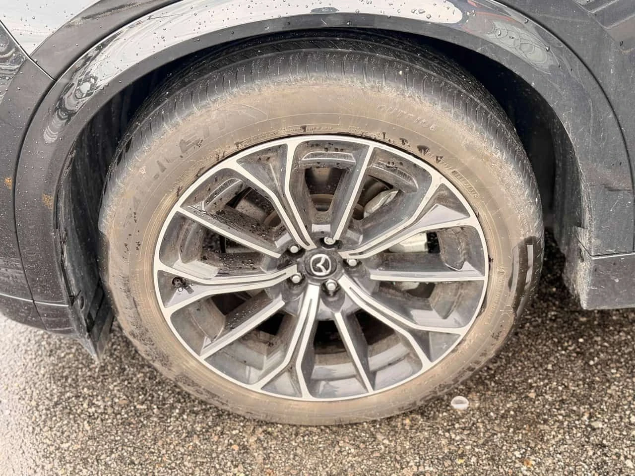 Mazda CX-7 * Signature * CARFAX * ОБДУХВАНЕ * ПАНОРАМА * , снимка 7 - Автомобили и джипове - 54227724