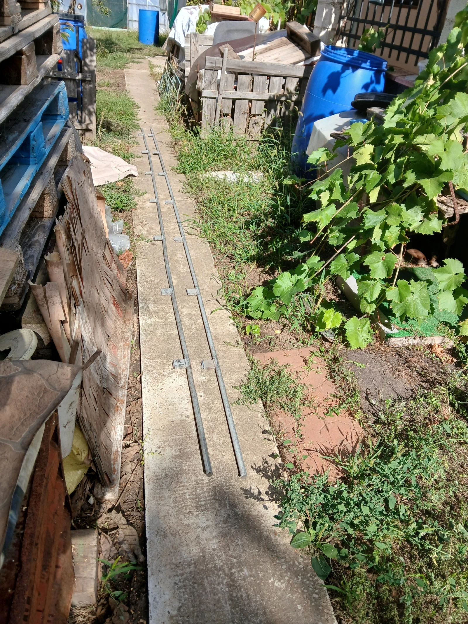  ��������� ����������� �� ������� ���������  | Mobile.bg � ����������� 13