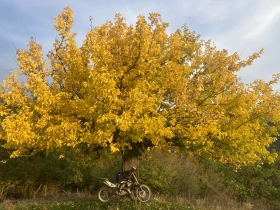 GASGAS EC, снимка 2