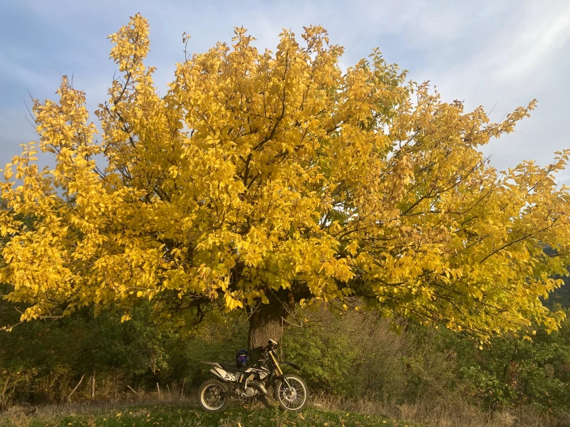 GASGAS EC, снимка 2 - Мотоциклети и мототехника - 53232940