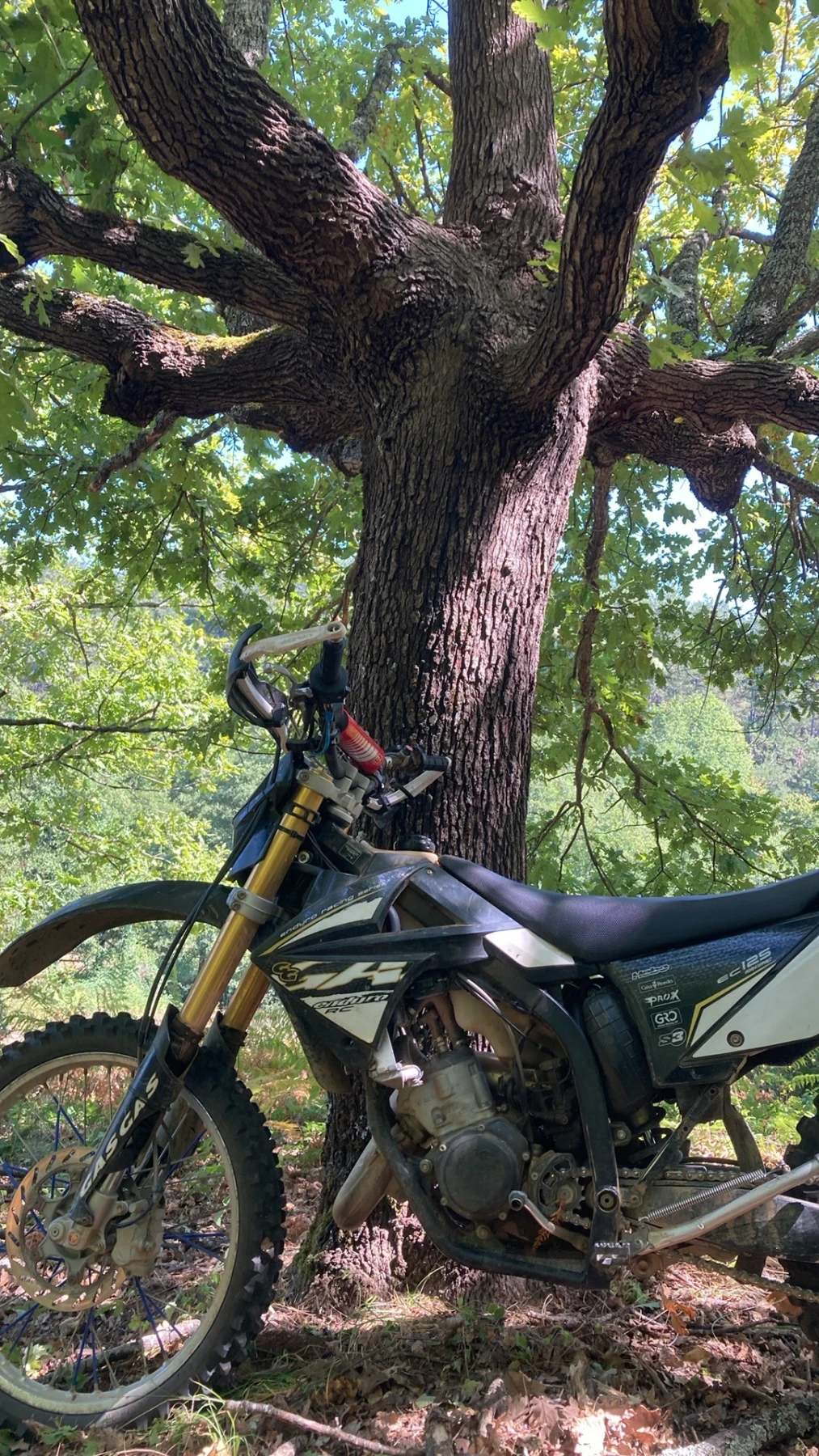 GASGAS EC  - изображение 3