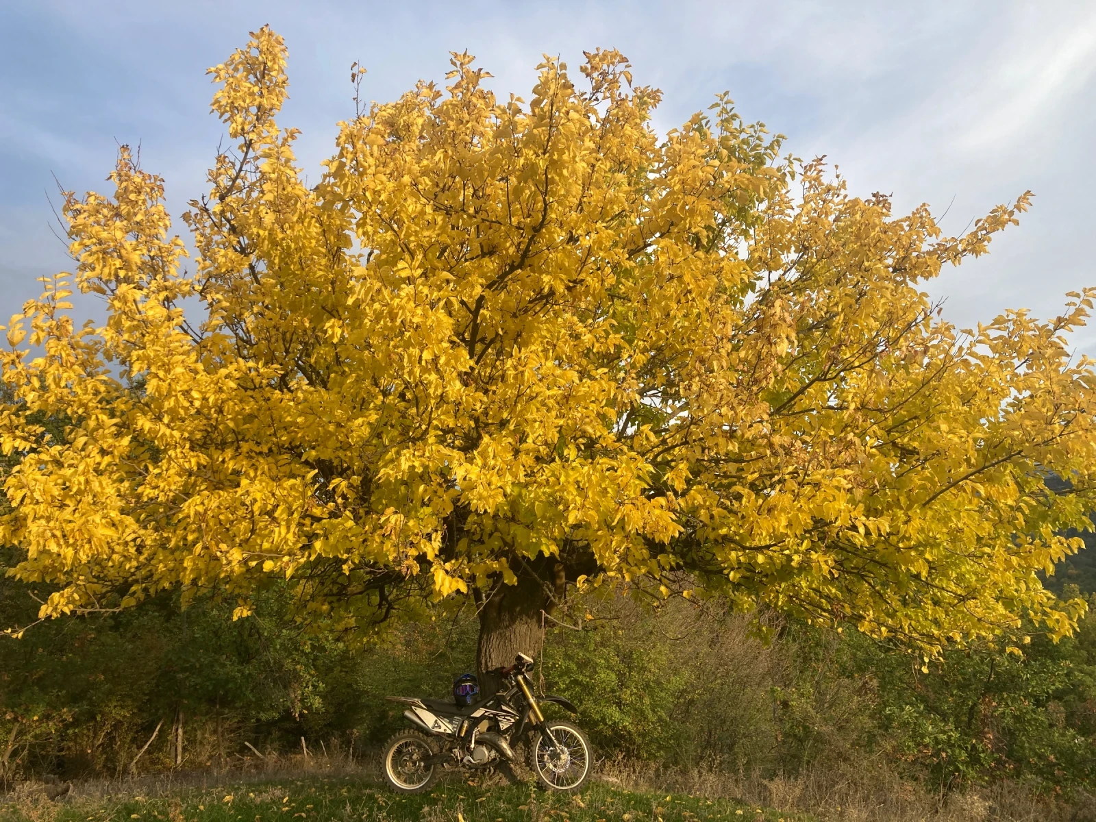 GASGAS EC  - изображение 2