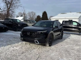 Honda Cr-v Touring  CARFAX