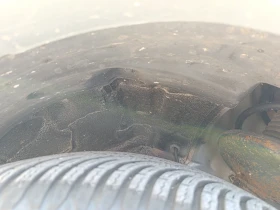 Toyota Rav4  | Mobile.bg    15