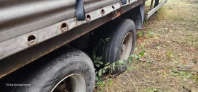  Krone Ricoe 0746 | Mobile.bg    9