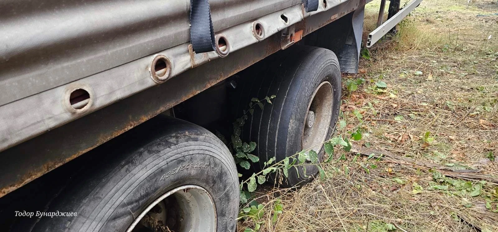  Krone Ricoe 0746 | Mobile.bg   9