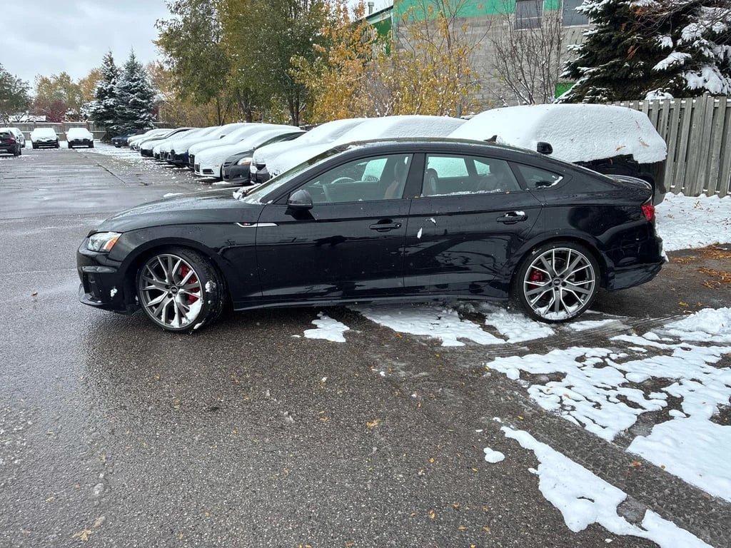 Audi S5 Progressiv  CARFAX - изображение 2