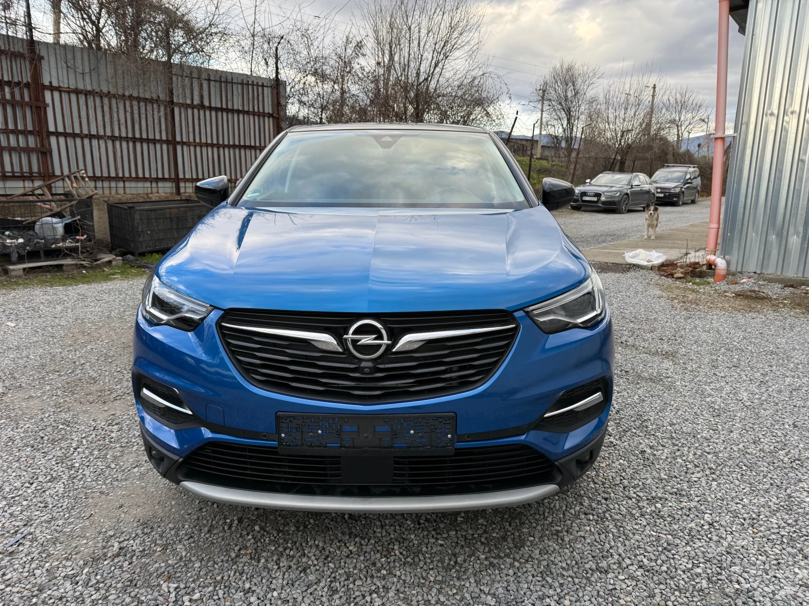 Opel Grandland X  - изображение 2